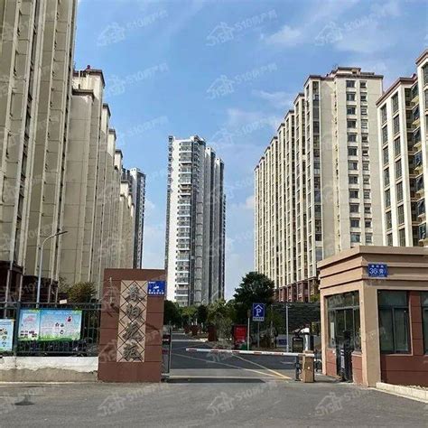 深圳公寓市场：千万元豪宅开盘秒光，中间价位“赔钱赚吆喝”|界面新闻