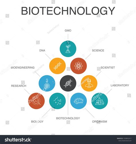 Biotechnology Process Steps Diagram 的图像结果