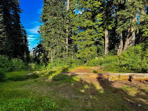 Guide to the Stunning Blanca Lake Hike in Washington