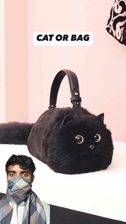 Backpack Greenscreen 的图像结果