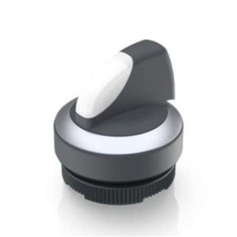 1.30.272.102/2200 RAFI | RAFI Knob Selector Switch - 29.8 mm Cutout ...