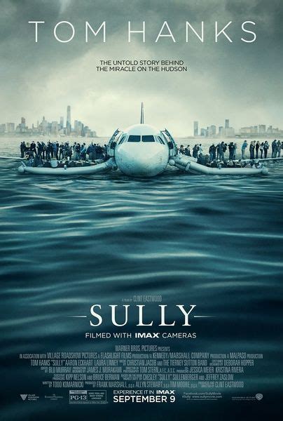 Sully Poster 10 | GoldPoster