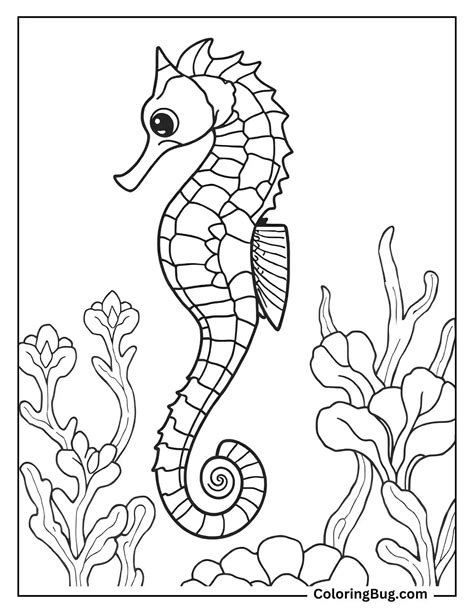 42 Ocean Coloring Pages (Free Printable PDFs)