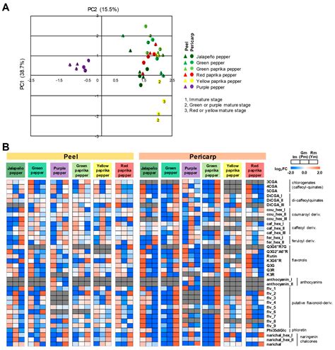 Cross-Species Comparison of Fruit-Metabolomics to Elucidate Metabolic ...