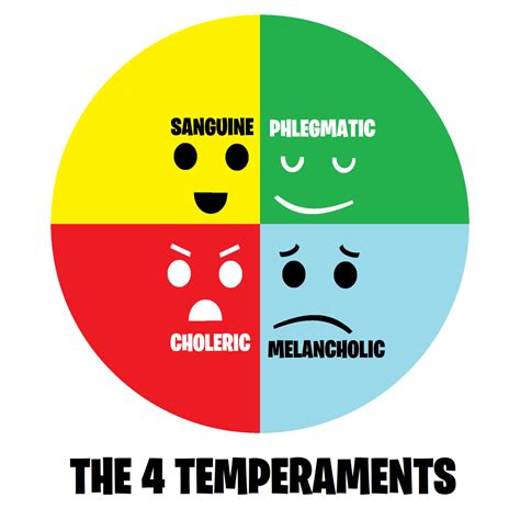 The 4 Temperaments by DecIsMuchJuvenile on DeviantArt