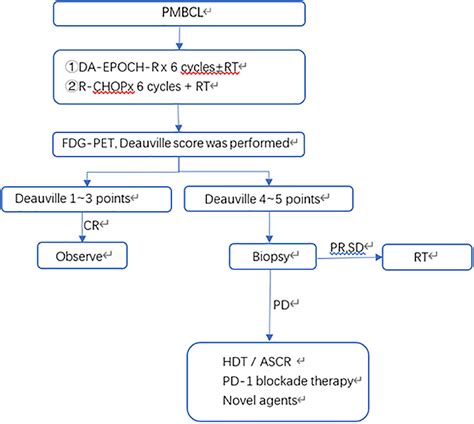 Primary mediastinal large B cell lymphoma - Yu - 2021 - Thoracic Cancer - Wiley Online Library