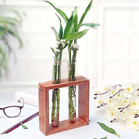 Buy Pine Wood Plant Hangers & Planters Online in India. Truly Earthy.