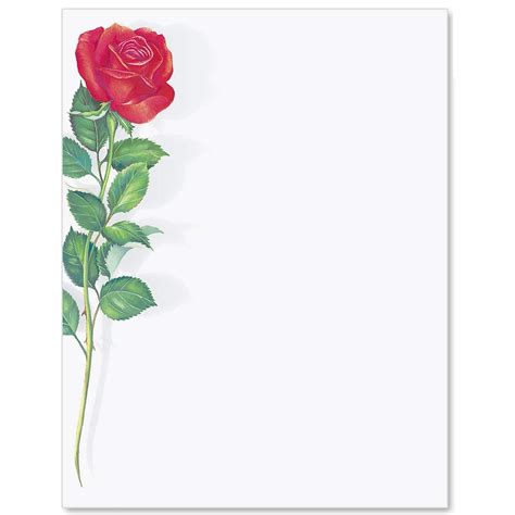 Red Rose Letter Papers, 8 1/2 x 11 Inches, 25 Count : Amazon.in: Office ...