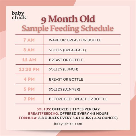 8 to 9 Months Old Feeding Schedule: Ultimate Guide for Healthy Growth ...