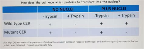 Plus Sign Science 的图像结果