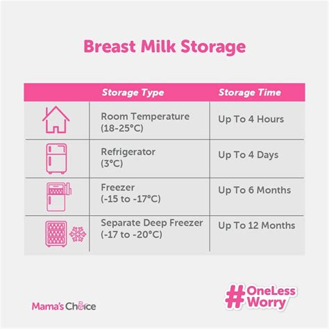 Pumping Breast Milk 101: The Ultimate Guide For Mamas
