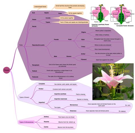 Botany 的图像结果