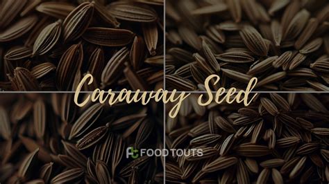 How Do You Say "caraway Seed" In Hindi? | Food Touts