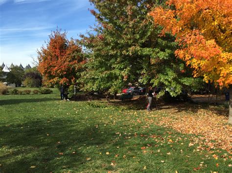 Crispus Attucks Park Dc