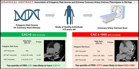 Polygenic Risk Scores and Extreme Coronary Artery Calcium Phenotypes (CAC=0 and CAC≥1000) in ...