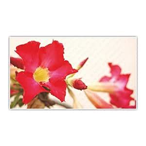 Anne Print Solutions® Red Bignonia Flower Canvas Poster (Without Frame ...