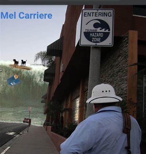 Every Man Dies Alone Book Review - Lunchtime Lit With Mel Carriere ...