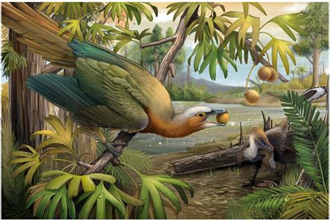 都说鸟类是恐龙进化的，巨型恐龙怎么会变成小鸟？变小也是进化吗