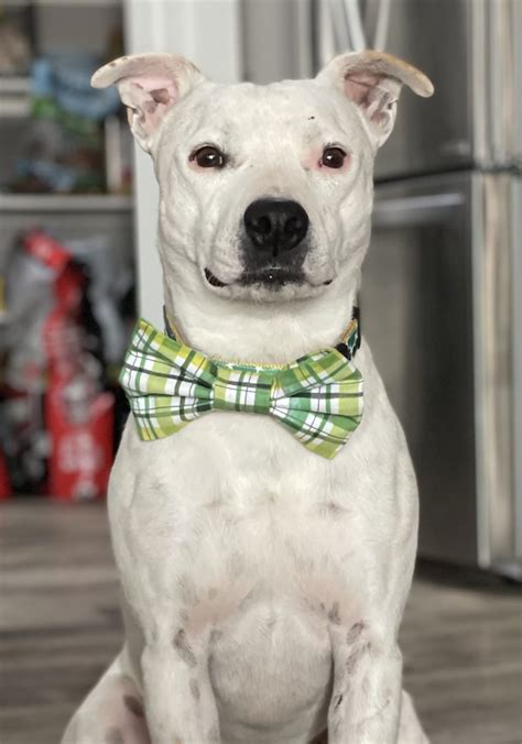 Our Story – Fix West Texas