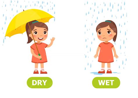 Premium Vector | Illustration of opposites dry and wet