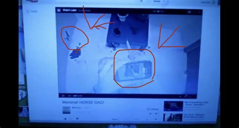 Alan Tutorials 的图像结果