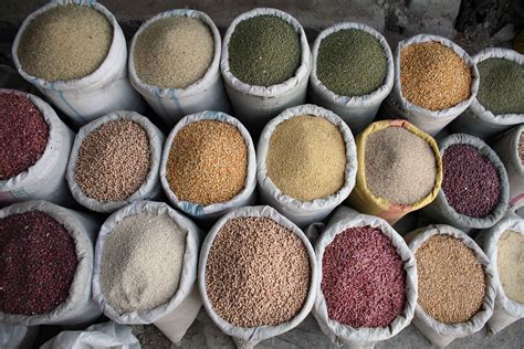 The New Humanitarian | Staple food crops do not want global warming