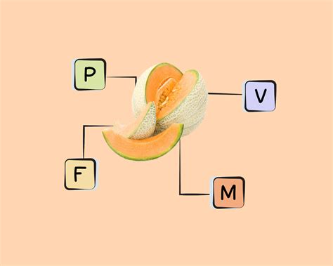 Cantaloupe Nutrients