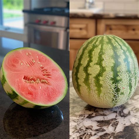 14 Essential Signs On: How To Tell If Watermelon Has Gone Bad - Hunters ...