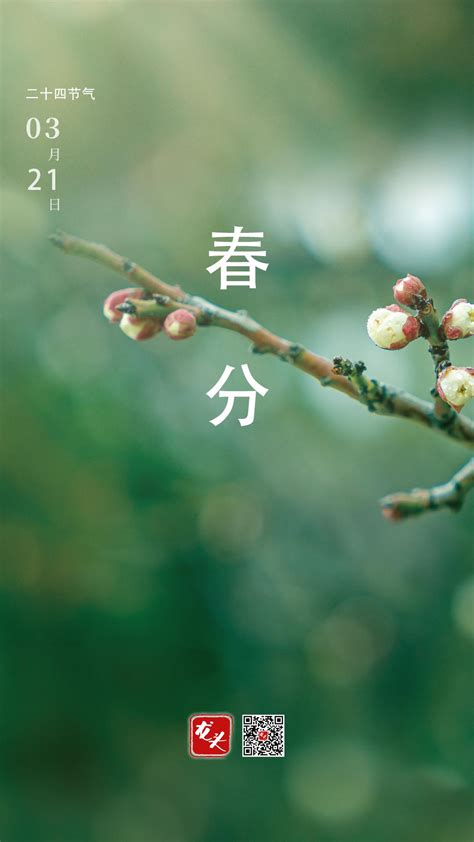 今日春分：春和景明，万物滋长｜节气_文学爱好者