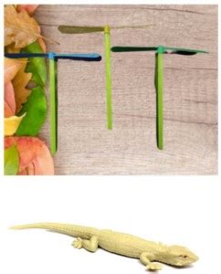 imtion 2 in 1 ( 2 Pcs Air flying toys + 1 Pcs chipkali Real looking ...