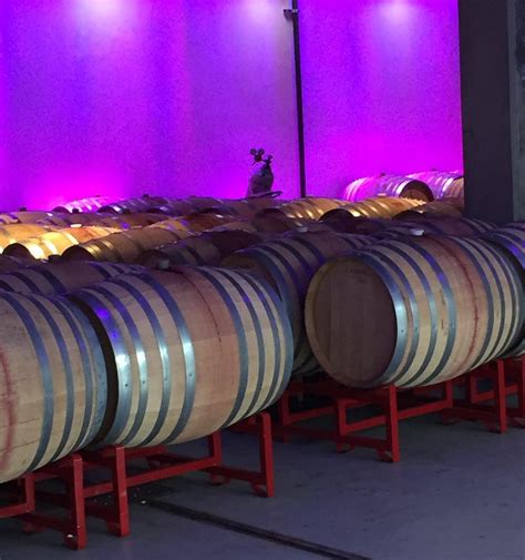 SUSTAINABLE WINE TOURS - All You Need to Know BEFORE You Go 2026 (with ...