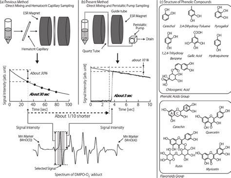 Dmpo H2O2 的图像结果