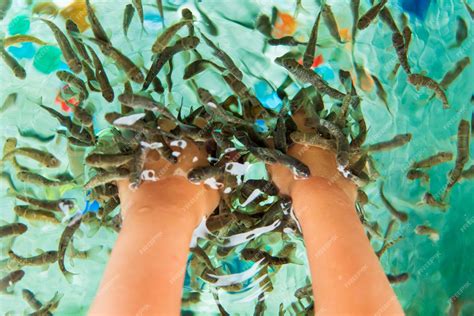 Premium Photo | Garra Rufa fish spa massage treatment