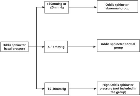 Frontiers | Effect of sphincter of Oddi dysfunction on the abundance of biliary microbiota ...