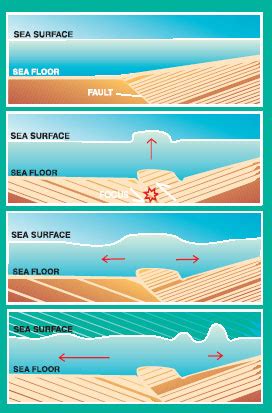 How a Tsunami forms & difference with "watch" and "warning"