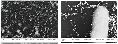Single Wall Carbon Nanotubes Based Cryogenic Temperature Sensor Platforms