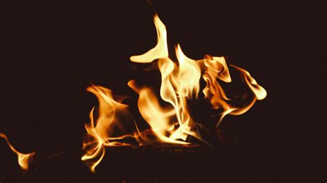 Man Putting Stick on Fire · Free Stock Photo