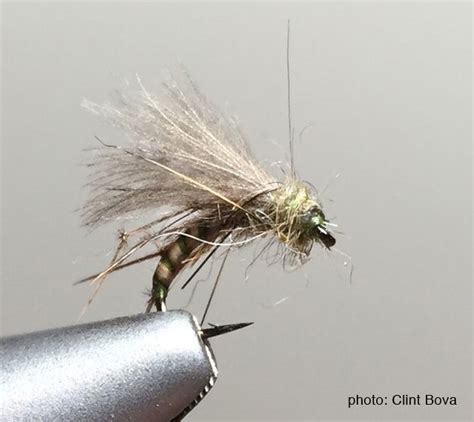 Image result for Emerger Fly Pattern