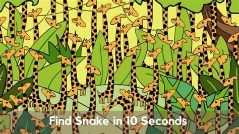 Only 10% of people can spot a snake in this optical illusion picture in ...