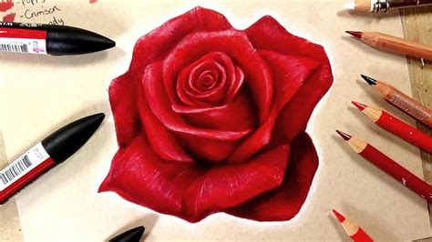 rose drawing realistic easy