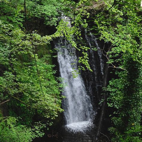 FALLING FOSS TEA GARDEN AND WATERFALL (2026) All You Need to Know ...