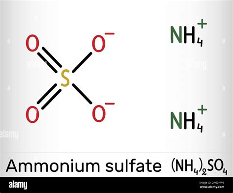 Ammonium Sulfate Lewis Structure