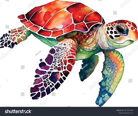 Baby Sea Turtle Clip Art