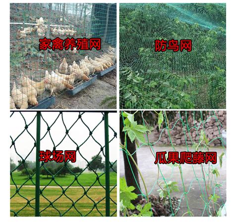 圈地果园养殖养鸡护栏围网绿色折弯散养土鸡围栏铁丝网围防护栏-阿里巴巴