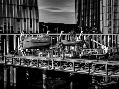 Big+Black+Areolas Photos, Download The BEST Free Big+Black+Areolas Stock Photos & HD Images