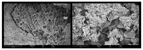 Innovative Thermal Renders Incorporating Oyster Shells for Sustainable ...