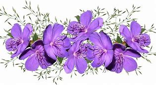 Image result for Flowers Outline for Painting