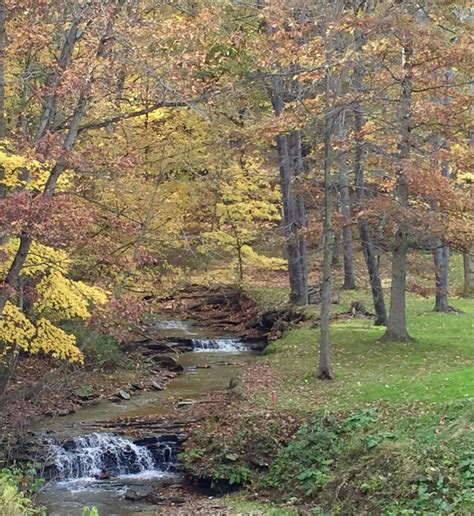 Gallery | Yankee Run Golf Course