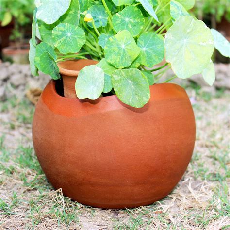 CraftLipi on Brown Living™