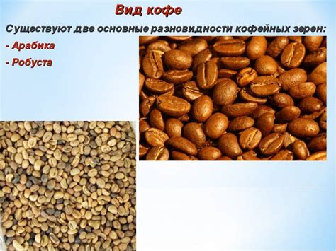 Виды и основные сорта кофе, наименования, разновидности